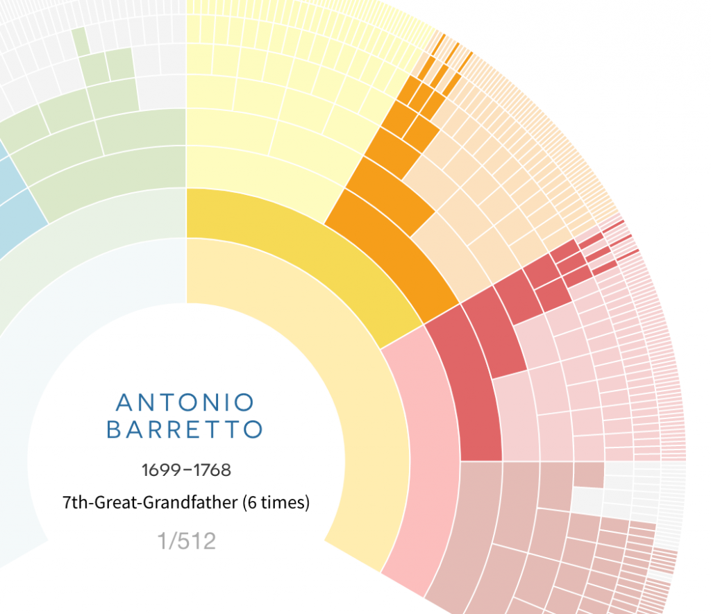 Visualized pedigree collapse for ancestral trees