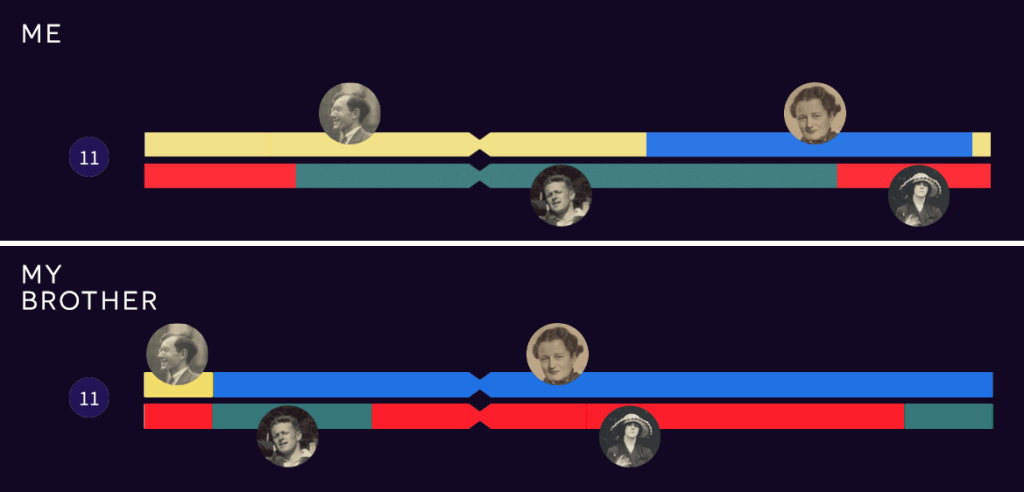 Diagram showing different grandparent segments inherited on each copy of chromosome 11 by me and my brother