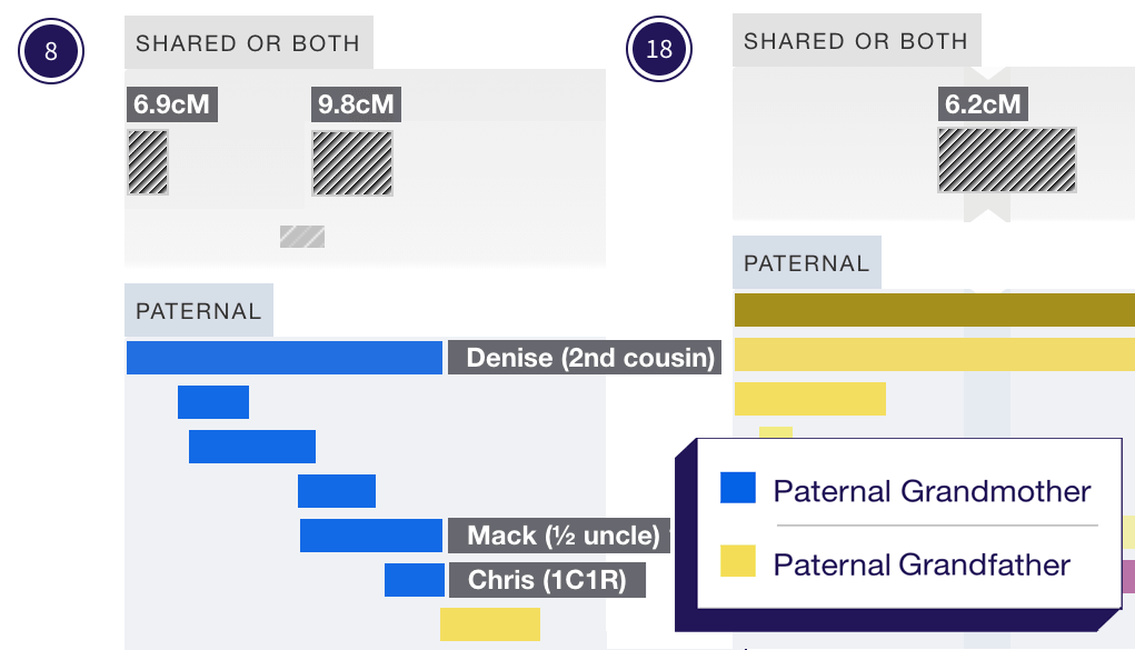 Previewing the segments when investigating a new DNA match
