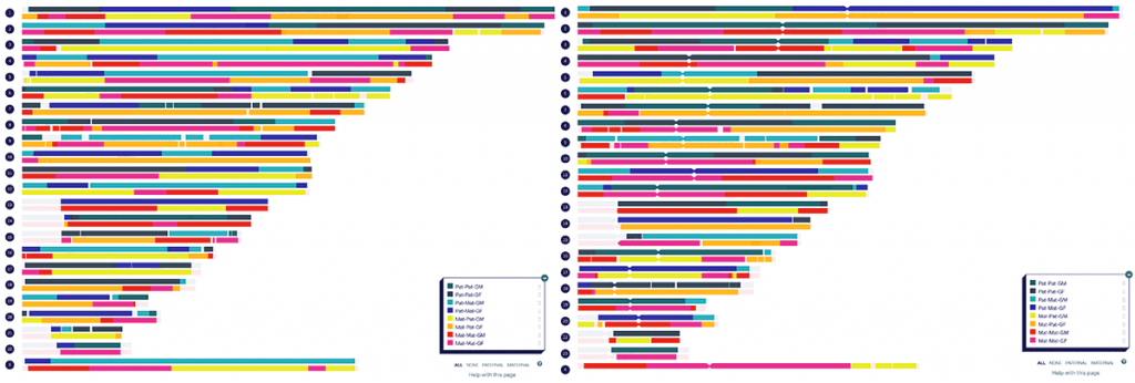My children's chromosome maps, build with the help of the common segment generator