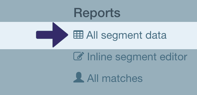 The link to the 'All segment data' report