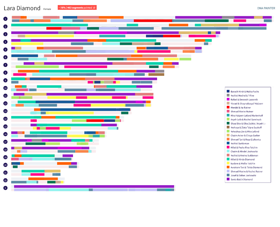 Lara's chromosome map