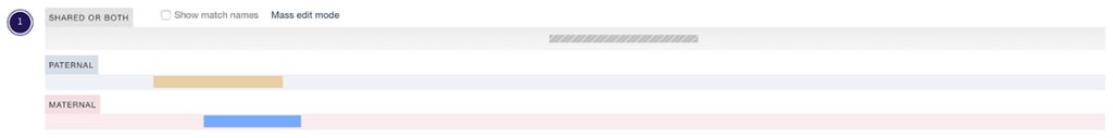 Person B's chromosome 1 showing overlapping segments sorted into maternal and paternal