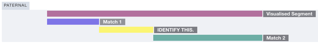 Chromosome showing the yellow segment where I need to find matches