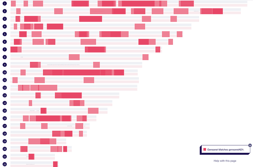 Geneanet imported segments