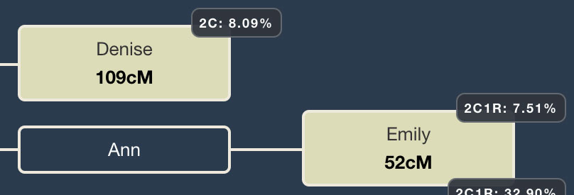 Hypothesis 1 score detail