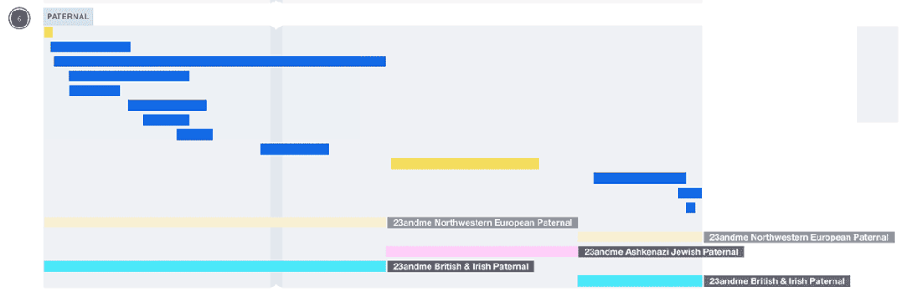 Screenshot of my chromosome map showing how the 23andMe ancestry composition segments align with my existing mapped segments.