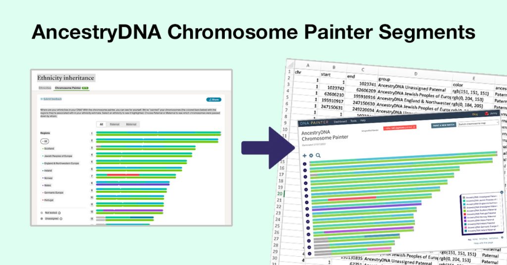 AncestryDNA Chromosome Painter segments