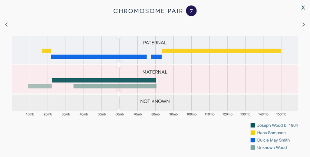 A screenshot showing chromosome detail view.