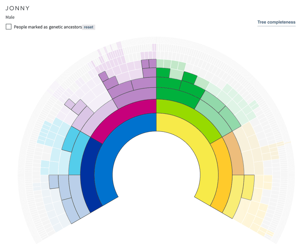 Fan view with the 'Show genetic ancestors' filter applied