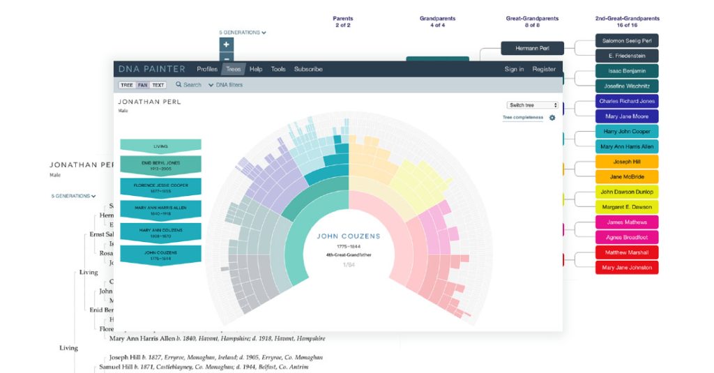 A screenshot of an ancestral tree showing a highlighted node in fan view, with the text and tree views behind