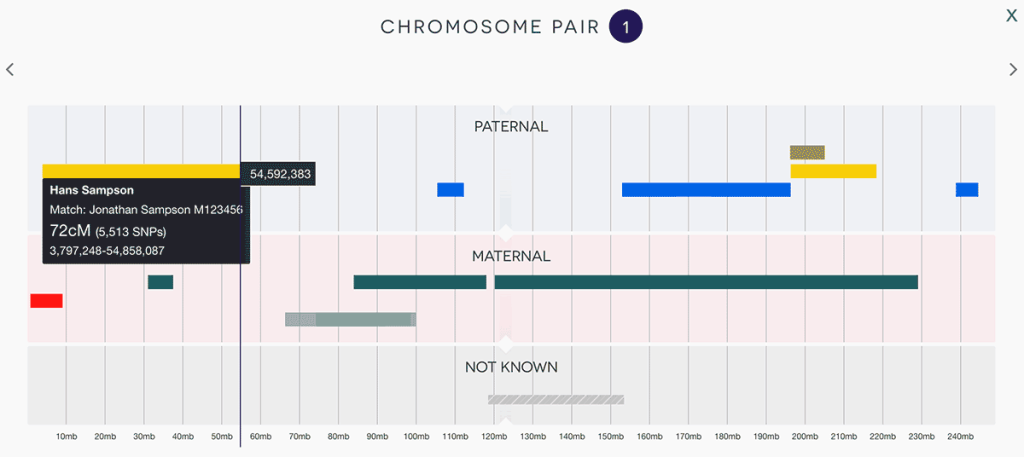 The chromosome detail view, showing a keyline and megabase label at the cursor position