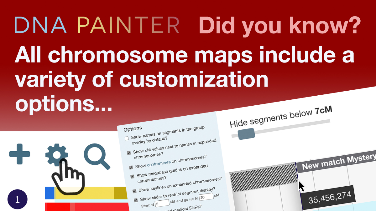 Did you know all chromosome maps include a variety of customization options