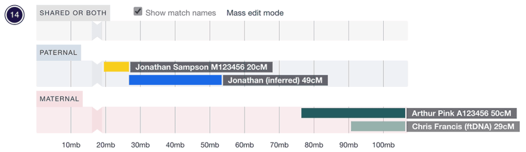 A view of chromosome 14, expanded and showing megabase guides