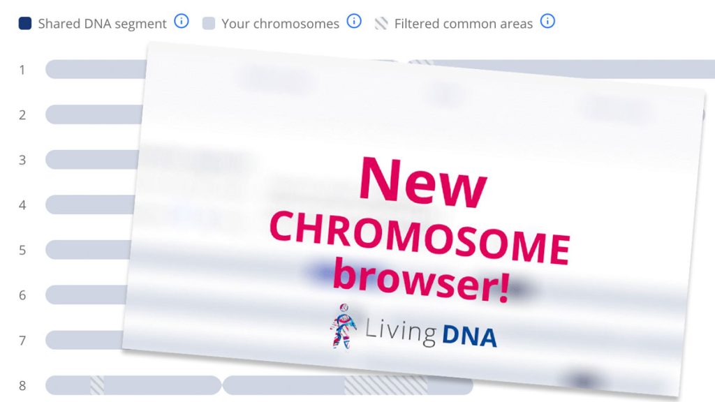 The new Living DNA chromosome browser | DNA Painter Blog