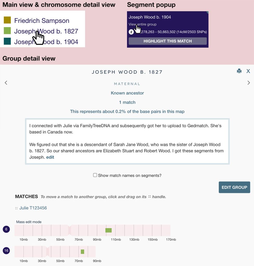 You can click on a group name in the key or the chromosome detail key in order to see the group detail overlay. You can also click on any segment and click 'view entire group'.