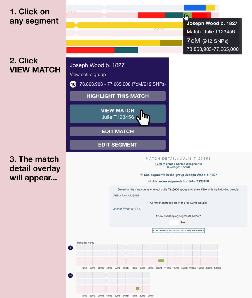 You can click on any segment and then click 'View match' to bring up the match detail overlay