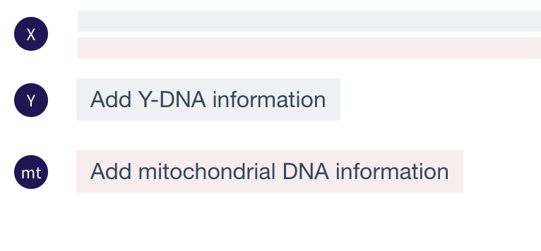 The new areas for Y and mitochondrial DNA that appear in DNA Painter chromosome maps