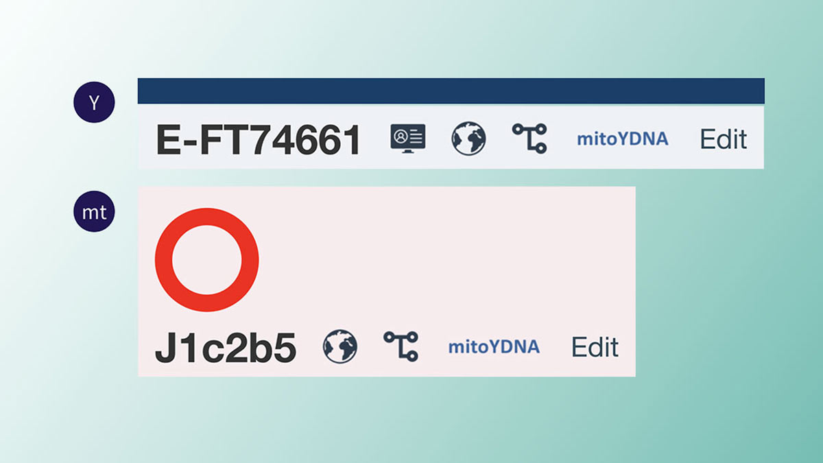 New: Showcase your roots with Y & mtDNA in your chromosome map | DNA ...