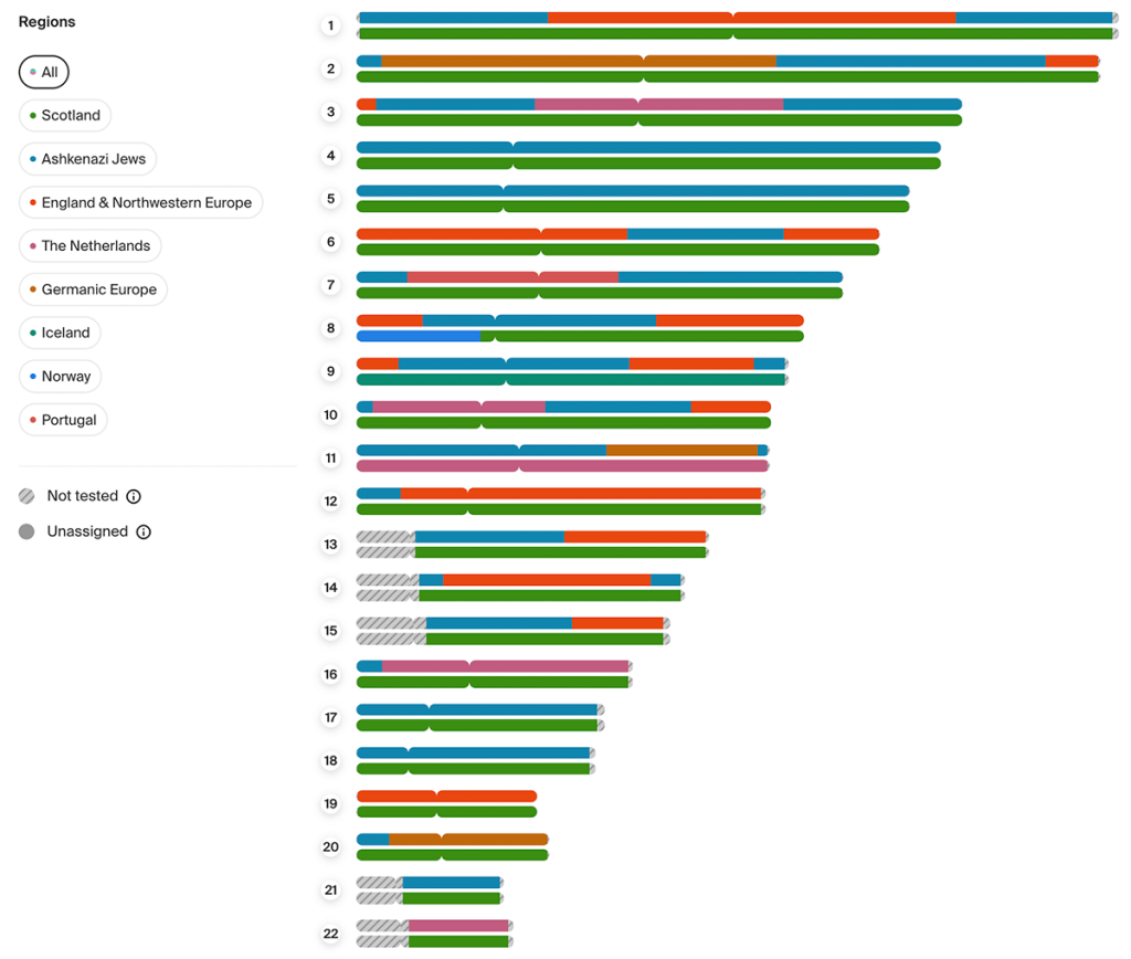 My updated AncestryDNA chromosome painter results from October 2024