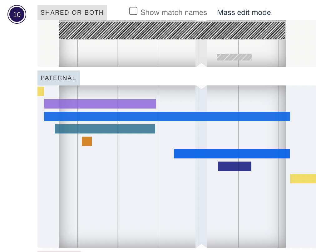 The "Dutch" segment (the black and white one at the top) overlaid on my paternal chromosome 10