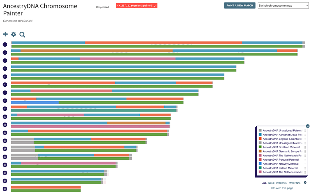 My AncestryDNA chromosome painter segments imported into DNA Painter