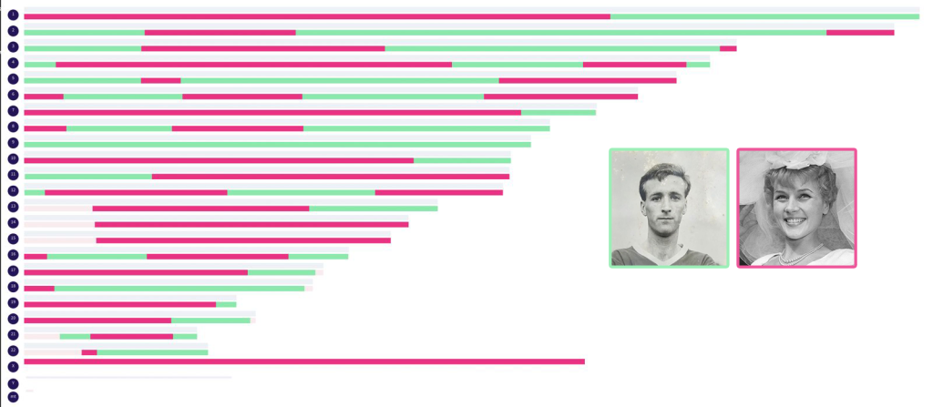 Josh's chromosome map showing segments mapped to both maternal grandparents.