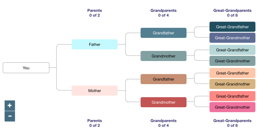 A blank ancestral tree ready to populate